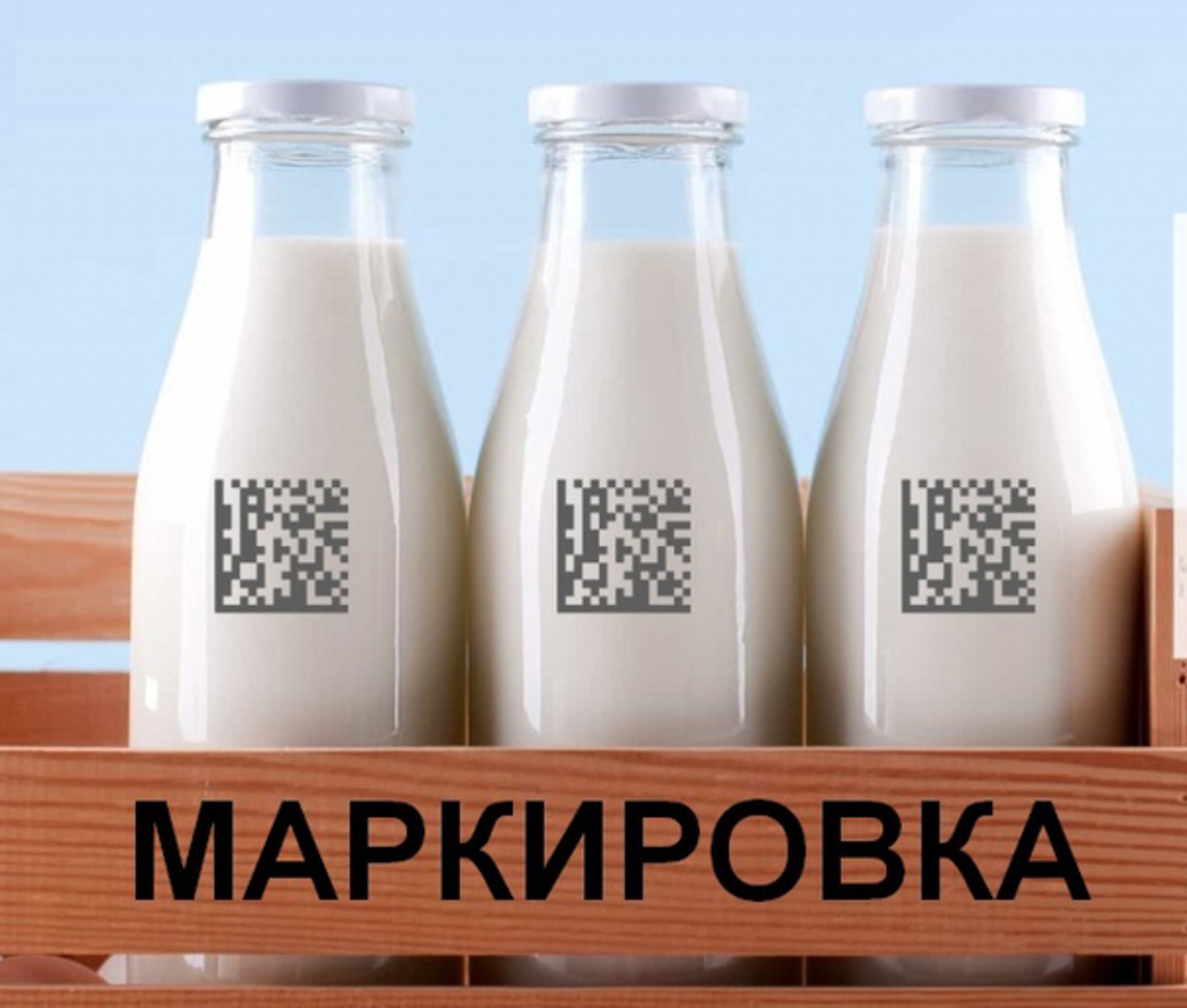 moloko markirovka